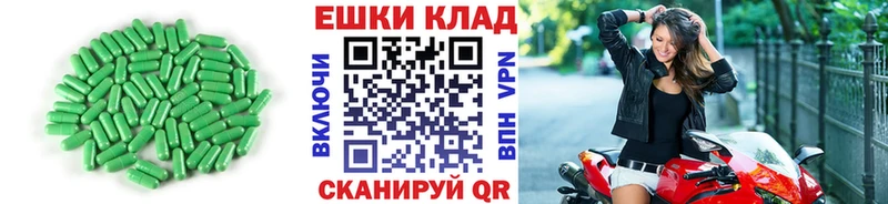 мега маркетплейс  Новая Ладога  Ecstasy TESLA  закладки 
