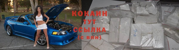 дживик Дмитриев
