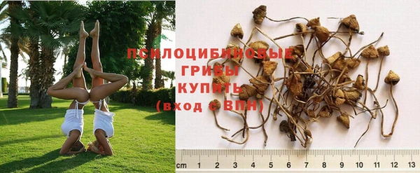 кокаин Дмитров