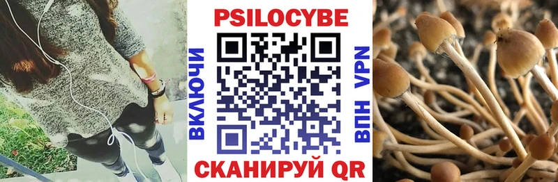 нарко площадка формула  Новая Ладога  Псилоцибиновые грибы ЛСД  где купить наркоту 