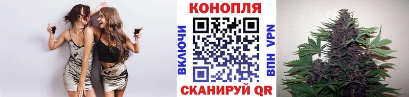 Каннабис White Widow  Новая Ладога 